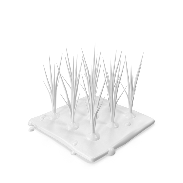 Monochrome Stylized Onion Plant PNG & PSD Images