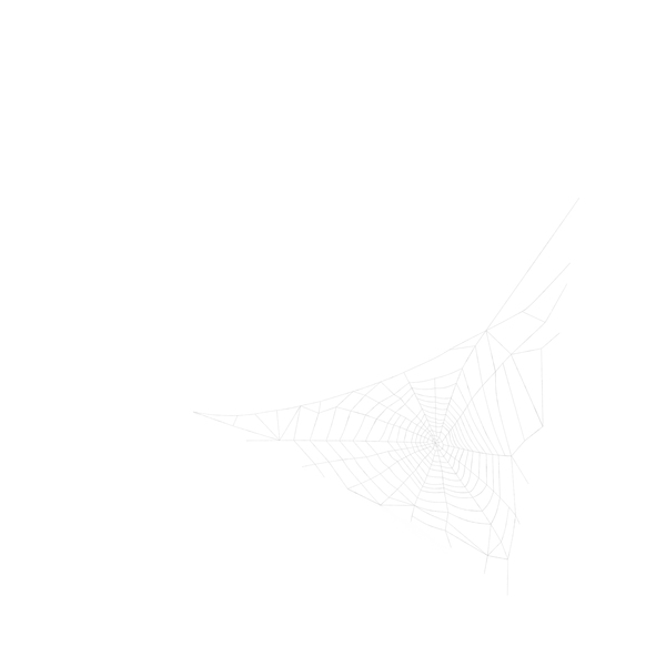 Triangular Shaped Spider Web PNG & PSD Images