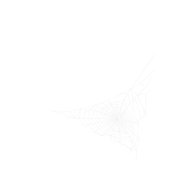 Triangular Shaped Spider Web PNG & PSD Images