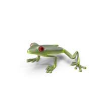 Frog PNG & PSD Images