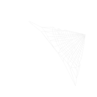 Corner Spider Web PNG & PSD Images