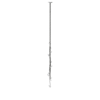 Chain with Hooks PNG & PSD Images