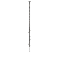 Chain with Hooks Old PNG & PSD Images