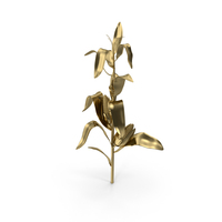 Gold Corn PNG & PSD Images