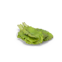 Lettuce Leaves on Plate PNG & PSD Images