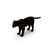 Black Panther Fur PNG & PSD Images