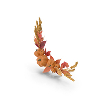 Autumn Frame PNG & PSD Images