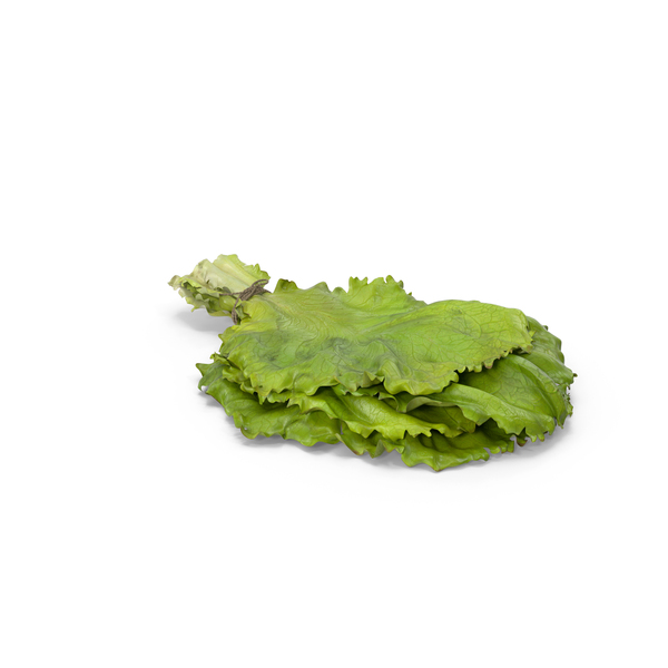 Bunch Of Lettuce PNG & PSD Images