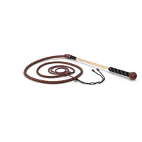 Braided Leather Bullwhip Coiled Brown PNG & PSD Images