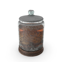 Vintage Organ Jar Human Brain PNG & PSD Images
