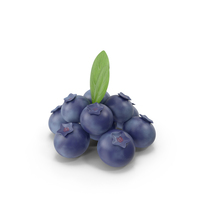 Blueberries With Leaf PNG & PSD Images