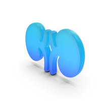 Kidney Medical Symbol PNG & PSD Images