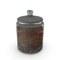 Vintage Organ Jar Human Brain Without Podium PNG & PSD Images