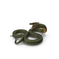 Aggressive Serpentine Dragon PNG & PSD Images
