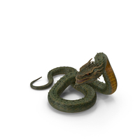 Serpentine Dragon Creature PNG & PSD Images
