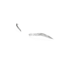 Arched Eyebrows PNG & PSD Images