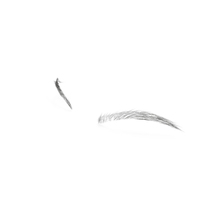 Rounded Brows PNG & PSD Images