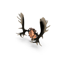 Elk Antlers PNG & PSD Images