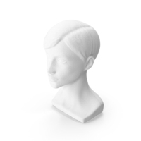 Styrofoam Female Mannequin Head With Hair PNG & PSD Images
