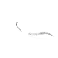 S Shaped Eyebrows PNG & PSD Images