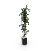 Bush PNG & PSD Images