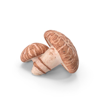 Shiitake PNG & PSD Images