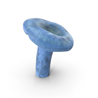 Lactarius Indigo PNG & PSD Images