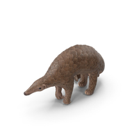 Pangolin PNG & PSD Images