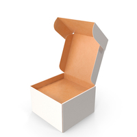 Spine Box Packaging Blank PNG & PSD Images