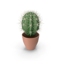 Cactus Pot PNG & PSD Images
