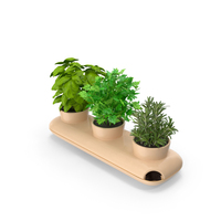 Ceramic Trio Pot with Herbs Sagaform Beige PNG & PSD Images