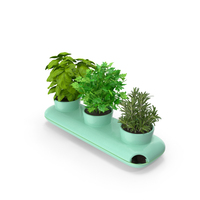 Herbs In Trio Stoneware Pot Sagaform Green PNG & PSD Images