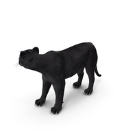 Black Panther Stand Pose PNG & PSD Images