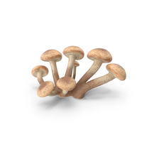 Honey Agaric PNG & PSD Images