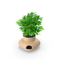 Parsley In Single Herb Pot Sagaform Beige PNG & PSD Images