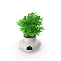 Parsley in Sagaform Single Herb Pot White PNG & PSD Images