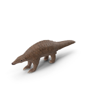 Pangolin PNG & PSD Images