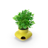 Stoneware Single Herb Pot Green With Parsley PNG & PSD Images