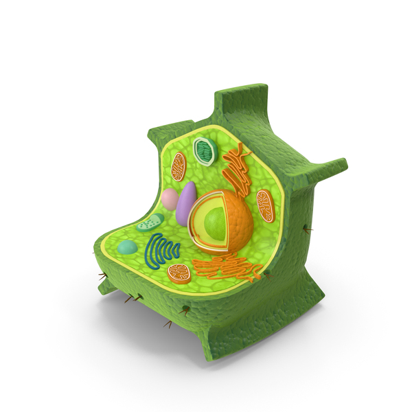 Plant Cell PNG & PSD Images