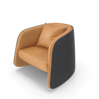 De Sede DS 900 Armchair PNG & PSD Images