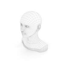 Woman Mannequin Head Eyes Open Wireframe PNG & PSD Images