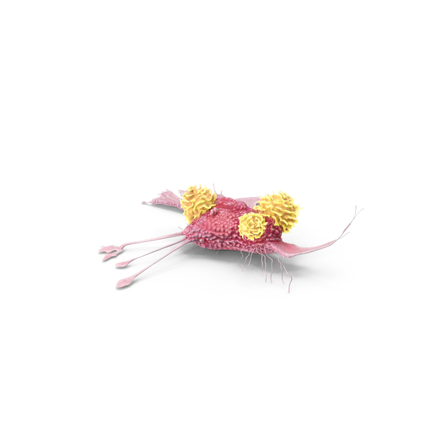 Cancer Cell with 3 Lymphocytes PNG & PSD Images