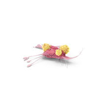 Cancer Cell with 3 Lymphocytes PNG & PSD Images