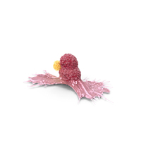 Cancer Cell With Lymphocyte PNG & PSD Images