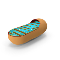 Mitochondrial Structure PNG & PSD Images