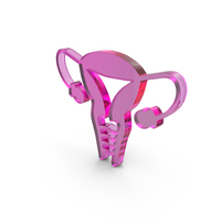 Female Reproductive System Icon PNG & PSD Images