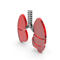 Lungs Human Anatomy Medical Icon PNG & PSD Images