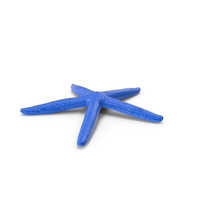 Blue Starfish PNG & PSD Images