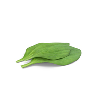 Plantain Plant Leaves PNG & PSD Images