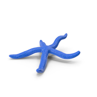 Sea Star Blue Crawling Pose PNG & PSD Images